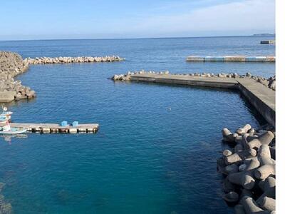 熱海横磯港で「SUP体験」〈ファミリーやカップルにおすすめ〉