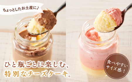 CHAPORTE 瓶入りチーズケーキ5種セット