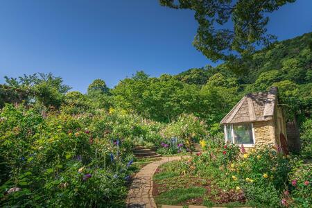 ACAO FOREST 入園ペアチケット（大人２名様）
