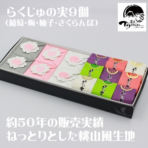 【お歳暮】三島ざくら６個・らくじゅの実９個詰め合わせ＜2024年12月１日出荷開始～2024年12月20日出荷終了＞【和菓子　お菓子　桃山風　栗餡　紫蘇餡　黒糖餡　さくら　桜　饅頭　カステラ　スイーツ　お祝い　ご挨拶　ギフト　詰め合わせ　三島市】