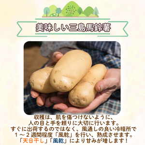 三島馬鈴薯 約5kg JAふじ伊豆 じゃがいも 馬鈴薯 メークイン 箱根西麓三島野菜 野菜 芋 農作物 化粧箱 みしまるかん JA 三島市 静岡県