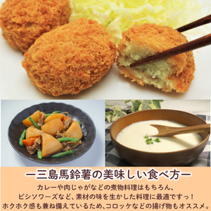 三島馬鈴薯 約5kg JAふじ伊豆 じゃがいも 馬鈴薯 メークイン 箱根西麓三島野菜 野菜 芋 農作物 化粧箱 みしまるかん JA 三島市 静岡県