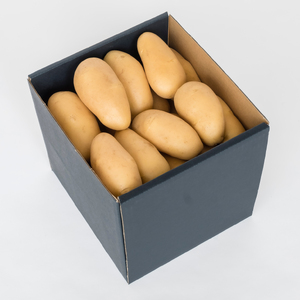 三島馬鈴薯 約5kg JAふじ伊豆 じゃがいも 馬鈴薯 メークイン 箱根西麓三島野菜 野菜 芋 農作物 化粧箱 みしまるかん JA 三島市 静岡県