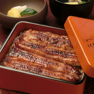 【2026年4月～順次発送】 うなぎ蒲焼 ウナギ 鰻 うな重 土用の丑の日 贈答用 ギフト お取り寄せグルメ 老舗 名店 蒲焼き 国産うなぎ 美味しい おいしい 真空パック 2人前 桜家 三島 静岡県