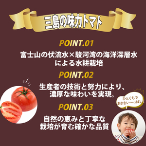  予約受付中 三島の味力トマト 1kg 完熟 高糖度 フルーツトマト とまと 贈答用 1万円以下 産地直送 国産 朝採れ 新鮮 サラダ ジュース 冷やしトマト 夏野菜 お取り寄せ グルメ 三島市 静岡県