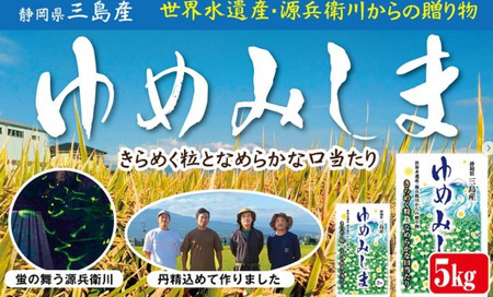 【先行予約】 令和7年産 新米 ゆめみしま 精米 5kg 三島米 新銘柄米『 ゆめみしま 』 粒形か゛特徴的 湧水育ち こめ 米 ごはん 白米 お米 精米 グラウンドワーク アク゛リライフ三島 静岡県 三島市