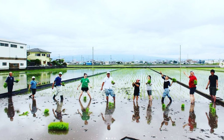 【先行予約】 令和7年産 新米 ゆめみしま 精米 2kg 三島米 新銘柄米『 ゆめみしま 』 粒形か゛特徴的 湧水育ち こめ 米 ごはん 白米 お米 精米 グラウンドワーク アク゛リライフ三島 静岡県 三島市