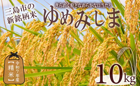 【先行予約】 令和7年産 新米 ゆめみしま 精米 10kg 三島米 新銘柄米『 ゆめみしま 』 粒形か゛特徴的 湧水育ち こめ 米 ごはん 白米 お米 精米 グラウンドワーク アク゛リライフ三島 静岡県 三島市