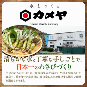 カメヤドレッシングセット 計3本 人参 にんじん わさび ドレッシング ごまだれ 山葵 調味料 たれ 野菜 サラダ 生おろし 詰め合わせ 詰合せ 贈答 ギフト カメヤ食品株式会社 箱根西麓 静岡県 三島市