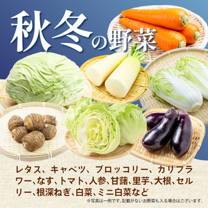 【2026年2月発送 秋冬野菜】三島野菜詰め合わせセット 8種類以上 JAふじ伊豆 ファーマーズマーケット みしまるかん お取り寄せ グルメ 野菜 旬の詰め合わせ 三島市 静岡県