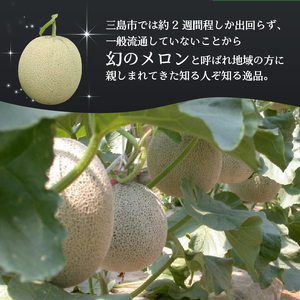 【予約受付中】 グレースメロン 約8kg 3～4玉 JAふじ伊豆 ファーマーズマーケット みしまるかん お取り寄せ グルメ フルーツ メロン 三島市 静岡県