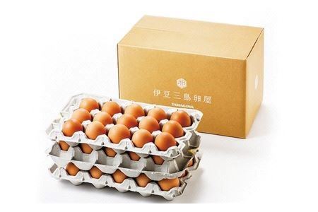 日の出たまご45個入り