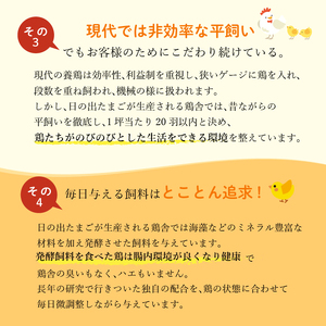 日の出たまご 45個入り 卵 たまご 生卵 玉子 箱根西麓 三島 ブランド 濃厚 黄身 養鶏 朝食 料理 お菓子作り 平飼い 飼料 富士 伏流水 ぷっくり 弾力 たまごかけごはん 三島市 静岡県
