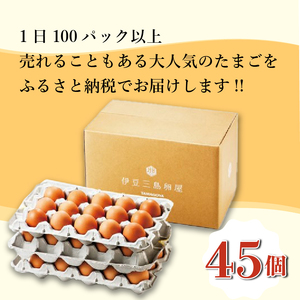 日の出たまご 45個入り 卵 たまご 生卵 玉子 箱根西麓 三島 ブランド 濃厚 黄身 養鶏 朝食 料理 お菓子作り 平飼い 飼料 富士 伏流水 ぷっくり 弾力 たまごかけごはん 三島市 静岡県