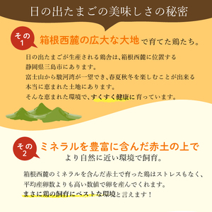 日の出たまご 30個入り 卵 たまご 生卵 玉子 鳥 鶏 箱根西麓 三島ブランド 濃厚 黄身 白身 ゆで卵 卵かけごはん オムレツ 贈り物 ギフト 養鶏場 平飼い 発酵飼料 富士 伏流水 弾力 たまごかけごはん 黄身 三島市 静岡県