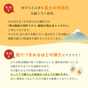 日の出たまご 30個入り 卵 たまご 生卵 玉子 鳥 鶏 箱根西麓 三島ブランド 濃厚 黄身 白身 ゆで卵 卵かけごはん オムレツ 贈り物 ギフト 養鶏場 平飼い 発酵飼料 富士 伏流水 弾力 たまごかけごはん 黄身 三島市 静岡県