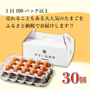 日の出たまご 30個入り 卵 たまご 生卵 玉子 鳥 鶏 箱根西麓 三島ブランド 濃厚 黄身 白身 ゆで卵 卵かけごはん オムレツ 贈り物 ギフト 養鶏場 平飼い 発酵飼料 富士 伏流水 弾力 たまごかけごはん 黄身 三島市 静岡県