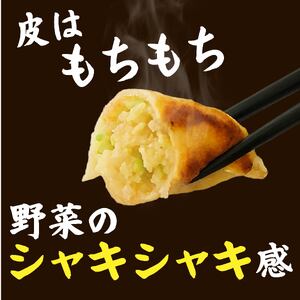 冷凍餃子 42個 正油ラーメン 2食 セット 個包装 手作り 老舗 一番亭 モチモチ 皮 野菜 豚肉 満足感 晩ごはん 家族 お裾分け 弁当 惣菜 お取り寄せ 家庭用 中華 餃子セット 冷凍食品 ラーメンセット おかず スタンダードセット 自社製 ジューシー うまみ 新鮮 自社製麺 チャーシュー メンマ さっぱり味 三島市 静岡県