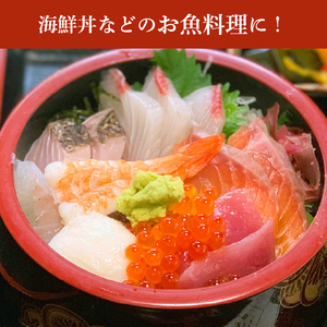  おろし本わさび匠 25g × 10本 静岡県産 わさび 薬味 本わさび おすすめ 名産品 特産品 ギフト 贈り物 プレゼント 三島市 静岡県