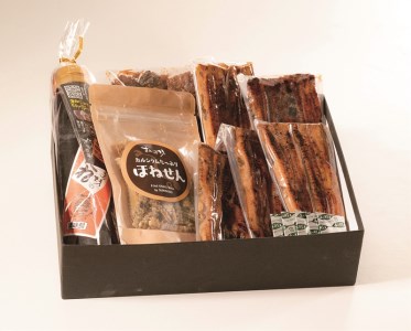 鰻蒲焼 5枚 バラエティセット すみの坊 せんべい 佃煮 タレ 山椒 うなぎ 土用丑の日 晩ごはん 家族 惣菜 ウナギ 国産 蒲焼き  贈答用 三島市 静岡県