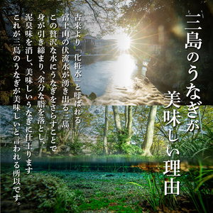 鰻蒲焼 1人前  すみの坊 うなぎ 国産 鰻 蒲焼き 手焼き 真空パック ウナギ 土用丑の日 うな重 うな丼 晩ごはん 家族 惣菜 鰻重 贈り物 ギフト 三島うなぎ 三島市 静岡県