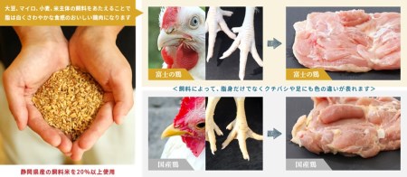 0011-38-04 静岡県産銘柄鶏 「富士の鶏」 正肉・手羽セット