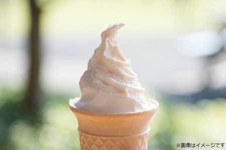 0020-06-01 いでぼく 濃厚! ジャージージェラート 120ml×10個