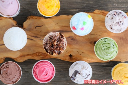 0015-42-01 土井ファーム 濃厚ミルクのジェラートBOX(12個入)