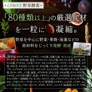 0011-101-02 酵素サプリメント 穀物麹と野草のうるおい生酵素 3袋 (3ヶ月)