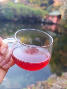 0006-109-01 富士宮ブレンドハーブティー 木花咲耶姫 ティーバッグ10個セット