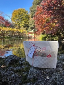 0006-109-01 富士宮ブレンドハーブティー 木花咲耶姫 ティーバッグ10個セット