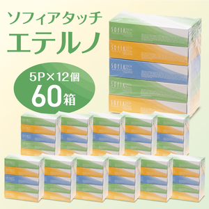 0012-107-01 マスコー製紙 ソフィアタッチ エテルノ ティッシュペーパー 150組×5箱×12パック (60箱)