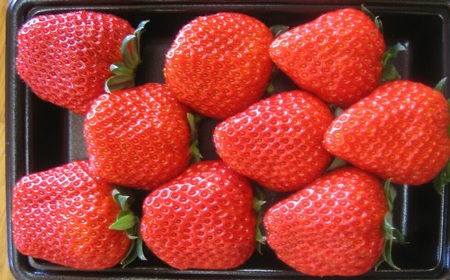 0010-40-13 れっどぱーる (富丘佐野農園) 自慢のいちご 完熟紅ほっぺ 2パック