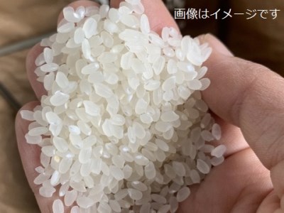 0040-56-01　富士山白糸こしひかり　お米10kg 化学肥料不使用