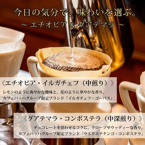0010-59-04 【カフェバッハグループ限定】粉・エチオピア&グアテマラ|中煎り・中深煎り|赤富士珈琲|利き珈琲チャンピオン厳選