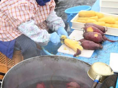 0015-61-02 富士山麓 干し芋 160g×5袋