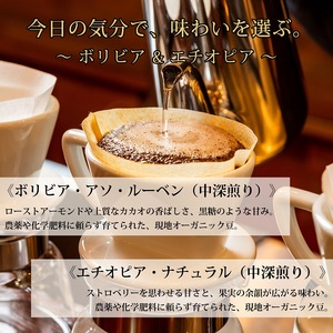 0012-59-08 【オーガニックコーヒー】粉・ボリビア&エチオピア|中深煎り|赤富士珈琲|利き珈琲チャンピオン厳選