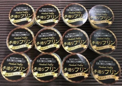 0015-40-10　富士山朝霧高原たまご使用の「手造りプリン」12個セット