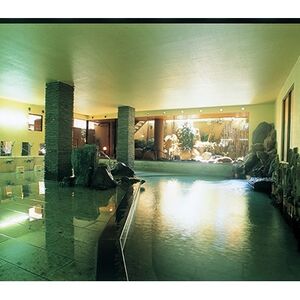 伊東園ホテル・伊東園ホテル別館・伊東園ホテル松川館　ご宿泊券1泊2日2食付き(1名様分:GAタイプ)_伊東園ホテル 宿泊券 1泊2日 2食付き_【1044937】