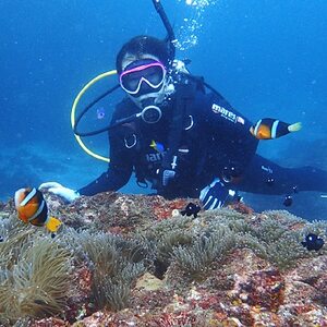 おひとり・日帰りでOK! 伊東・城ヶ崎の海で1日体験ダイビング_旅行券・チケット ダイビング 体験チケット _【1055061】