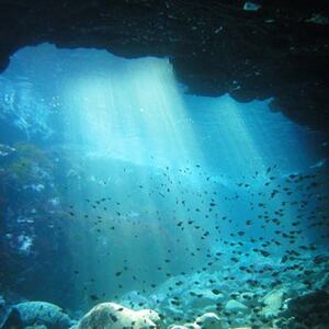 おひとり・日帰りでOK! 伊東・城ヶ崎の海で1日体験ダイビング_旅行券・チケット ダイビング 体験チケット _【1055061】