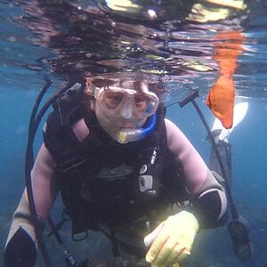 おひとり・日帰りでOK! 伊東・城ヶ崎の海で1日体験ダイビング_旅行券・チケット ダイビング 体験チケット _【1055061】