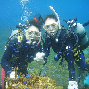 親子で、カップルで! ペアチケット～伊東・城ヶ崎の海で1日体験ダイビング(水中記念写真プレゼント付)_旅行券・チケット ダイビング 体験チケット _【1055063】