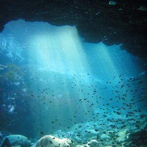 親子で、カップルで! ペアチケット～伊東・城ヶ崎の海で1日体験ダイビング(水中記念写真プレゼント付)_旅行券・チケット ダイビング 体験チケット _【1055063】