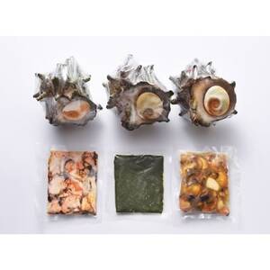極冷釜サザエ　(サザエ刺身用スライス1p・昆布出汁炊きスライス1p・肝ペースト1p)_魚介・海産物 サザエ 貝 さざえ_【配送不可地域：離島】【1115535】