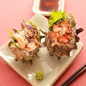 極冷釜サザエ　(サザエ刺身用スライス1p・昆布出汁炊きスライス1p・肝ペースト1p)_魚介・海産物 サザエ 貝 さざえ_【配送不可地域：離島】【1115535】