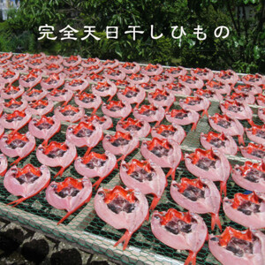 【数量・期間限定】金目鯛 天日干しひもの 2枚 詰合せセット ご家庭で大活躍のお魚 伊東市人気の海鮮_金目鯛 ひもの 詰め合わせ 干物_【配送不可地域:離島】【1137673】