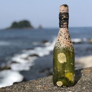 白ワイン潜酔酒(シャルドネ)_酒・アルコール 白ワイン ワイン _【1380226】