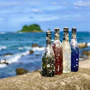 白ワイン潜酔酒(シャルドネ)_酒・アルコール 白ワイン ワイン _【1380226】