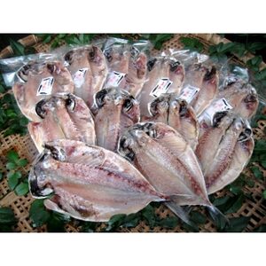 【毎月定期便】真あじ　天日干しひもの　詰合せ(18枚入)全6回_魚介・海産物  干物   定期便 定期便  _【配送不可地域：離島】【4007826】